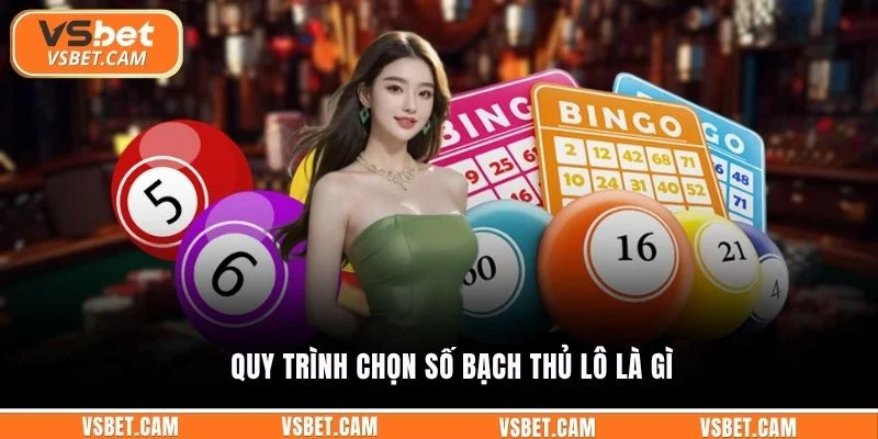 Quy trình chọn số bạch thủ lô là gì